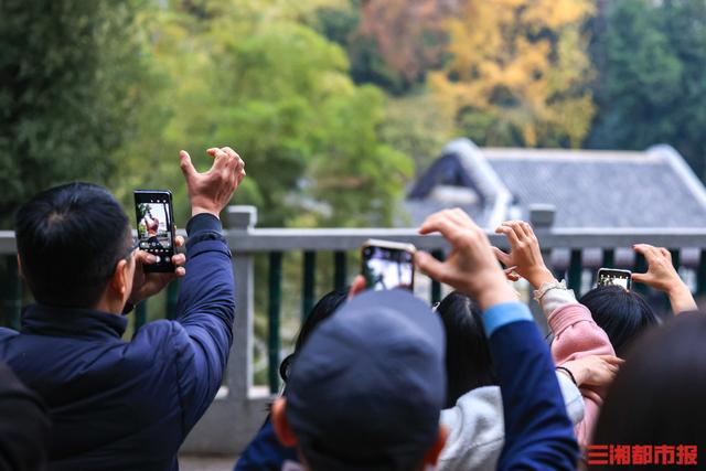 我是刘贵香 |  岳麓山上
