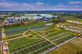 宁夏回族自治区灵武市：聚力汇能强基 城乡携手前进图片