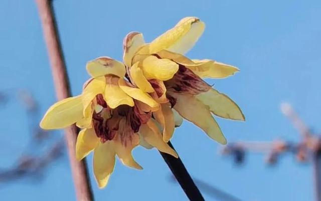 冬天，遇见不一样的潍坊！