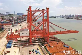 以人工智能驱动生产力变革，厦门探索AI落地“最后一公里”图片