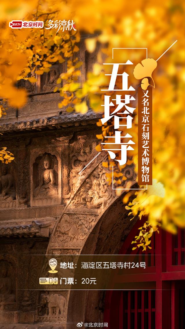 北京十大赏银杏好去处，这三处免费，您都去过吗？