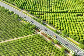 江西丰城：路畅景美产业兴图片