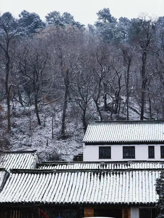 宜兴一下雪，就美成了阳羡！