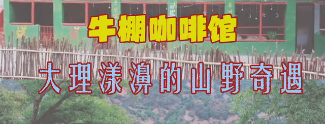 撸猪、攀岩……云南这些咖啡馆太会玩