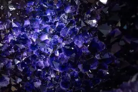 美极了！近2吨的“满天星”，让人称奇！来静安一起看→图片