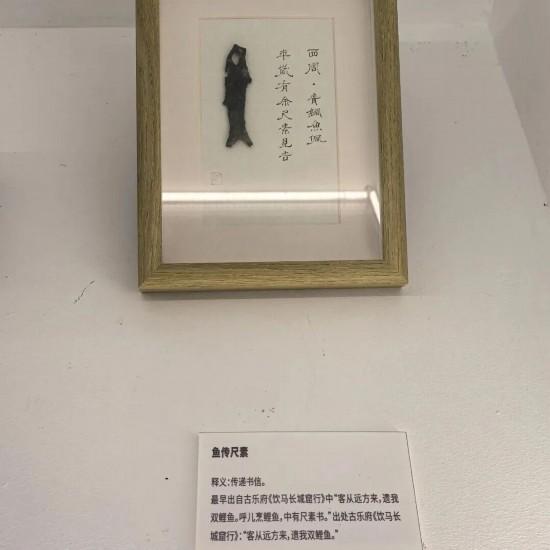 “果冻河”上线！朱家角6大景点“焕新升级”