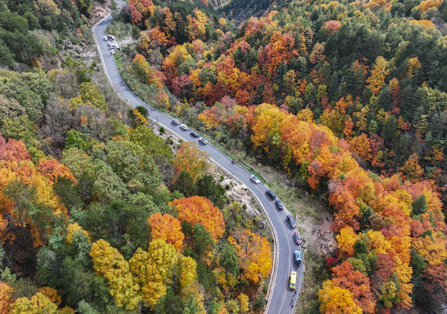 余先怀专栏｜秋染十八月潭