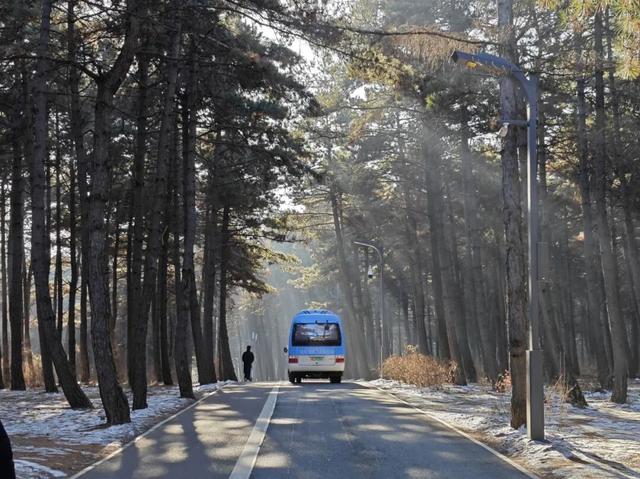 滑雪、拍照、逛吃……长春冰雪季的“女主剧本”火了！