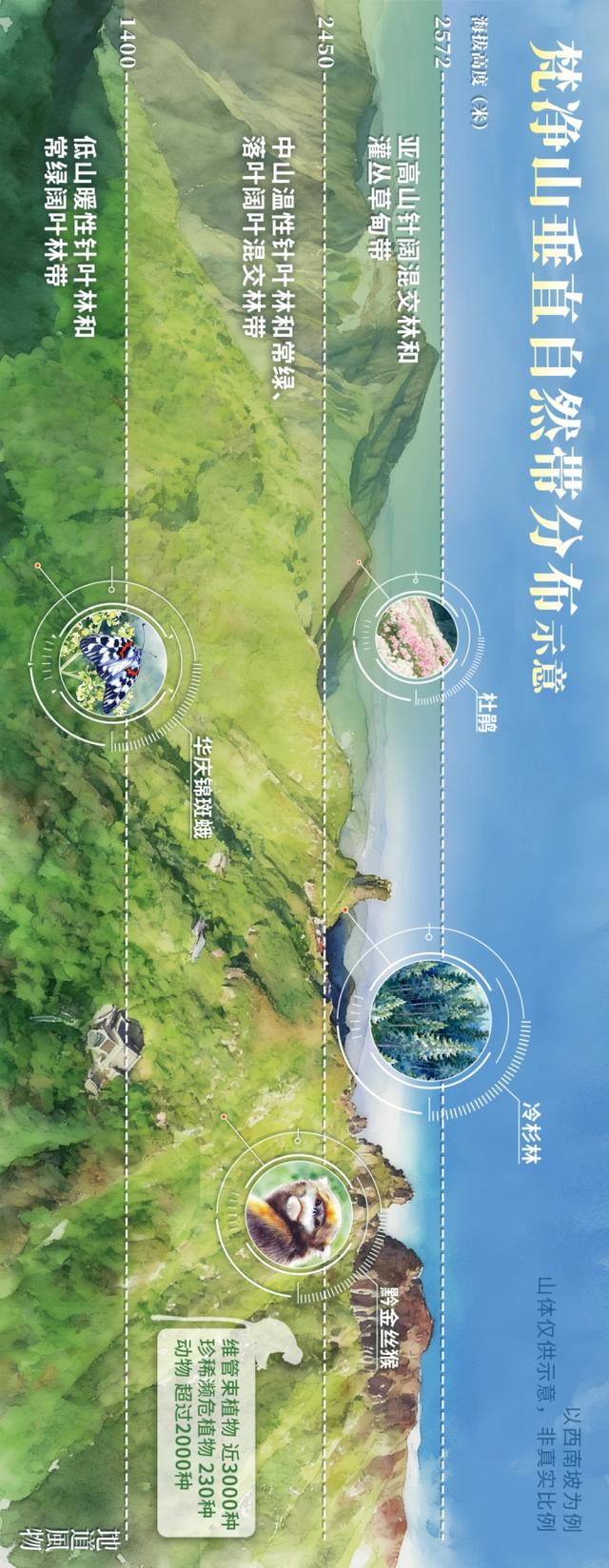 桃源深处、武陵主峰，梵净山何以跻身世界遗产？