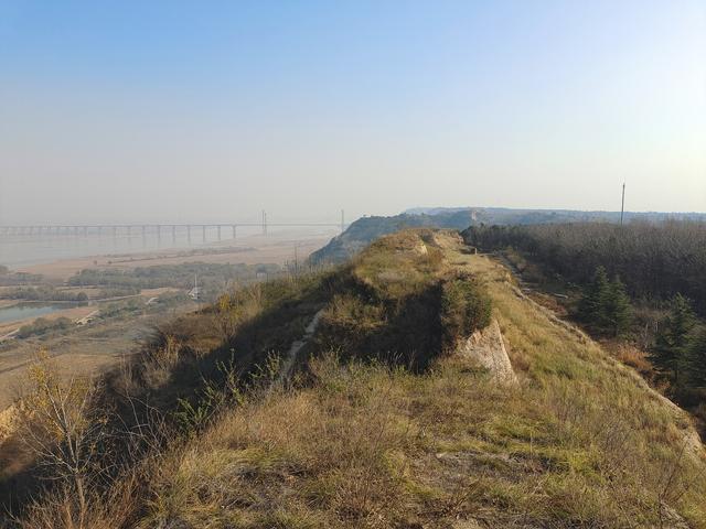 绿美河南有古树⑥丨广武山上，这些古树听着楚汉争霸的历史长大