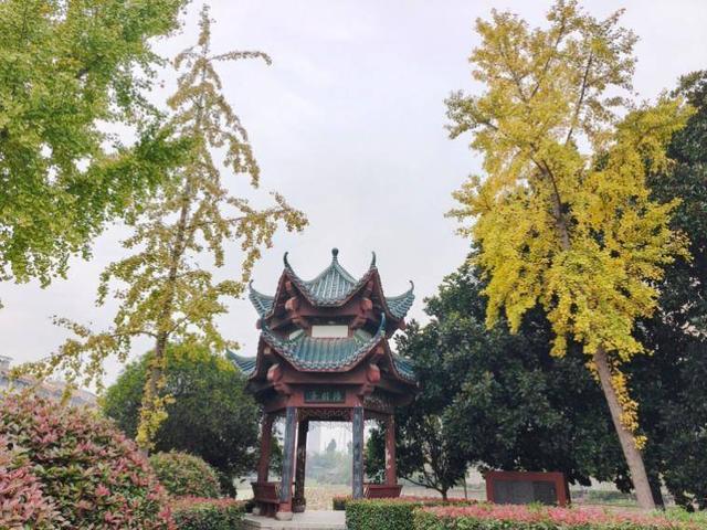 风光正好！来天门邂逅冬日暖阳