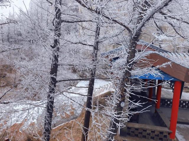 限时仙境！崂山巨峰雾凇进入最佳观赏期，打卡攻略速看