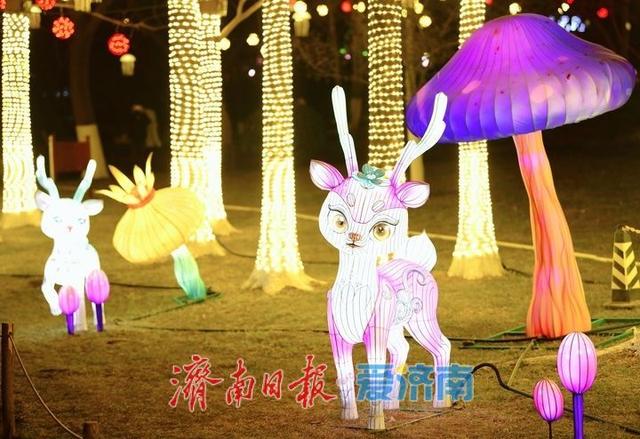 一年四季 泉在济南丨迎春花灯亮化测试，五龙潭公园点亮“花涧秘境”