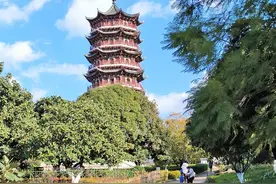 早安春城|原址不搬！昆明动物园新园区选址初步确定图片