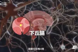 夏天脾气暴躁可能是得了“热怒症”图片