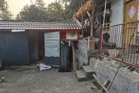 惊险！黑熊凌晨突闯家中撕咬妻子，58岁丈夫持斧击杀图片