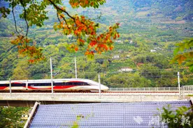 寻美兴山：新型高铁龙凤呈祥飞越香溪河图片