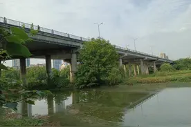 不会游泳的他拖根棍子下水救人 被授予“见义勇为公民”荣誉称号｜看见正能量图片