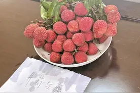 突破关键技术打破桎梏 荔枝扭转出海难图片