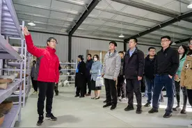 考古发现：近3000年前，雄安即开启“城市时代”图片