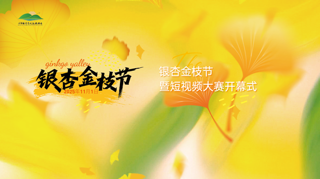 黄都黄了，不如来银杏谷走走