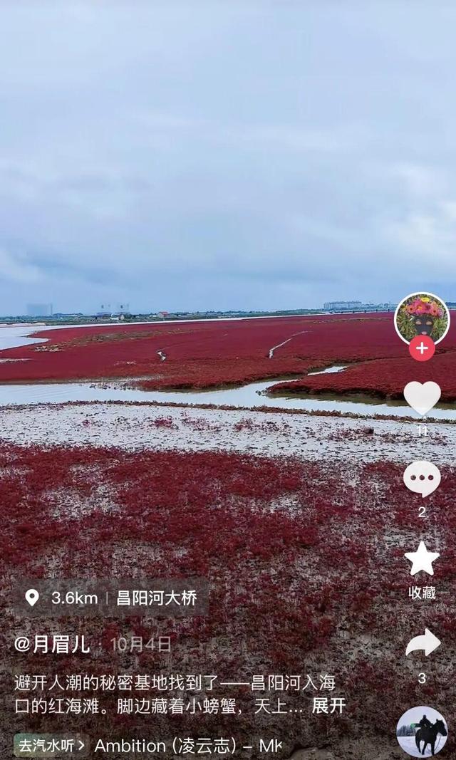 南海红海滩刷屏 网友争相打卡