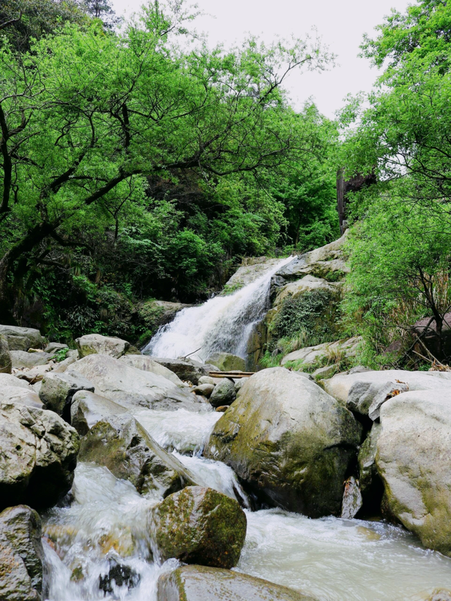 走进衢江 | 循气象之钥 解码冬日江南奇境与千年文脉