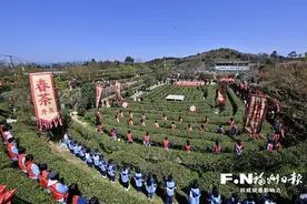 茶和天下 农遗添彩 2025福州春茶开采季启幕图片
