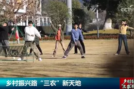 “数字游民”为乡村扩大“朋友圈” 新业态蓬勃兴起打造“三农”新天地图片