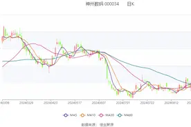 神州数码：2024年上半年净利润5.09亿元 同比增长17.52%图片