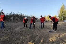 冬日暖情，植树育林——为大地添新绿图片