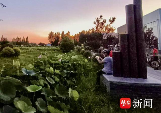 享受“两轮”上的惬意，夏日骑行正当时，防暑防灼伤防蚊虫一个不能少