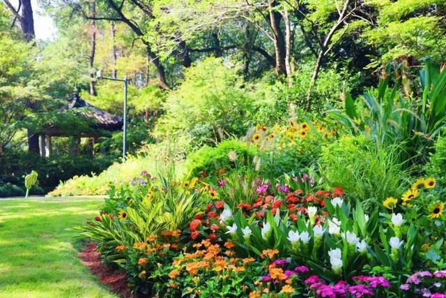 西湖“花漾”盛宴已就位！33处花境等你国庆假期来打卡