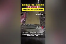 纵览热点丨重庆垫江强降雨致6人遇难，当地居民称水深曾达1.5米，最新情况：积水已在逐渐消退图片