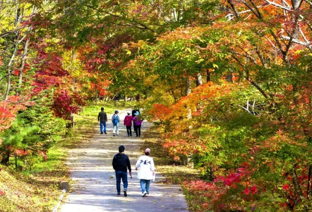 藏不住啦！延边这些“顶流”都是秋色巅峰