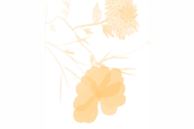 这一波“回忆杀”里是否也有你的故事……图片