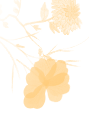 乘着高铁游白山 | 双节同庆 长白山下双节梦幻4日游