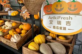 巨型南瓜、“爱马仕”葡萄……上海这些“弹眼落睛”农产品，谁在种？图片