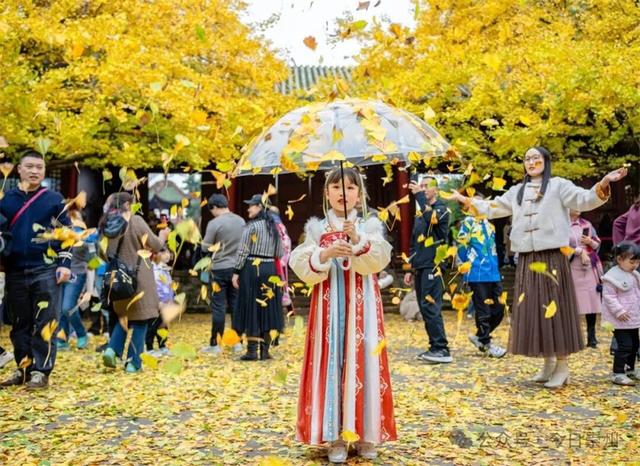 成都崇州：罨画池从一个景点，转变为“文产融合”