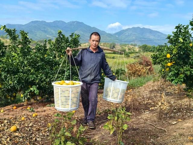 躲进闽西的初冬！来龙岩一键打包古城烟火+爆汁脐橙