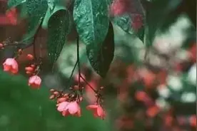 人生最难走的路是心路图片