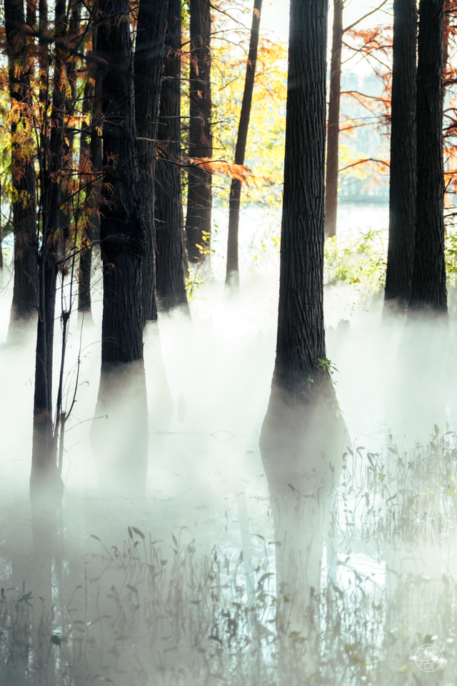 东湖这四处绝美秋景，出片率100%