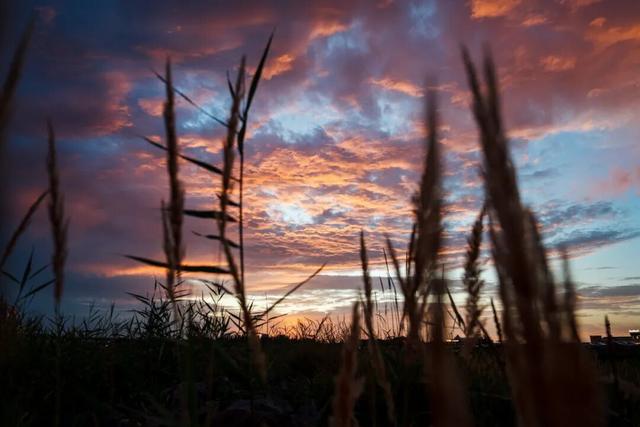 老俞闲话｜内蒙古之旅（第10-12天）