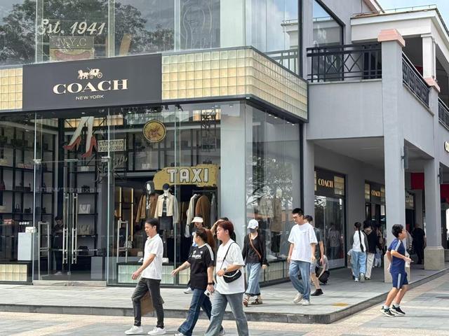 拖箱狂买直呼便宜！沪上奥特莱斯成为中外游客“扫货地标”