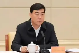 杨发森主动投案，成首个“落马”的“70后”省委常委图片