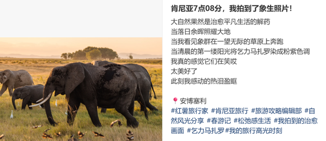 去肯尼亚看动物，为什么让年轻人热泪盈眶？