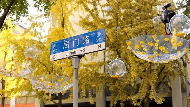 赏银杏，逛“杏运满巷”市集