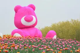 2025北京郁金香文化节国际鲜花港展区4月4日开幕图片