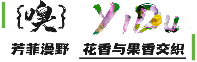 宜都，太有“感觉”了！
