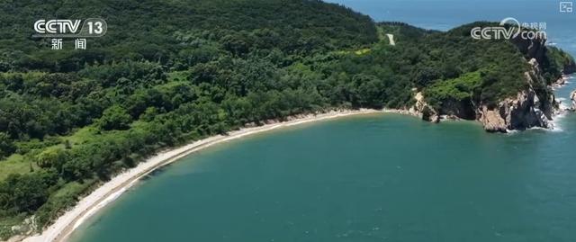 新赛道、新场景激活海岛旅游新活力 这份暑期深度玩海攻略请收好